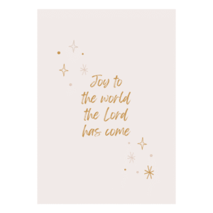 joy to the world kerstkaart christen christelijke kerstkaarten uniek kaarten kaartje kaartjes uniek kopen kaartje bestellen wvl winkeltjevanlies-22